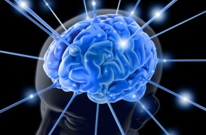 brain-800